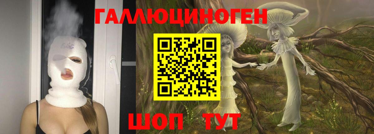 Галлюциногенные грибы Psilocybe Вичуга