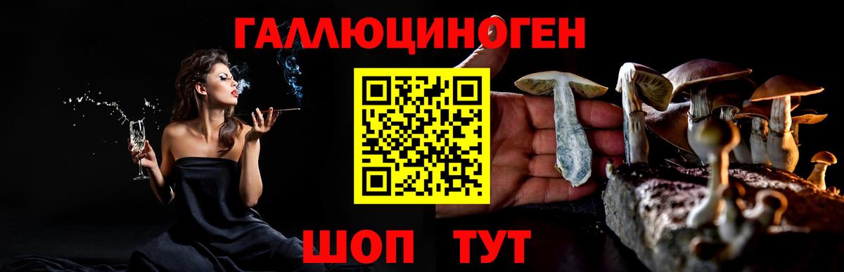 Галлюциногенные грибы MAGIC MUSHROOMS  Вход с VPN  Вичуга 